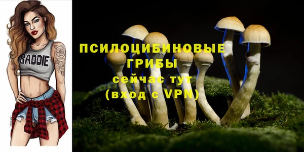 apvp Абаза