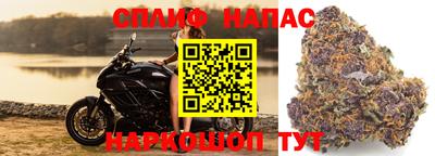 стаф Наро-Фоминск
