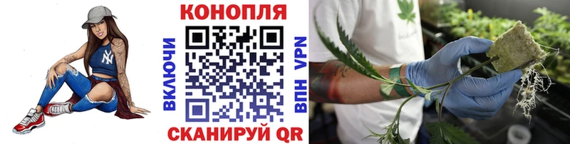 Канабис тримм  Ялта 